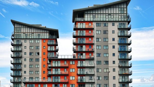 pexels-sevenstorm-juhaszimrus-439391